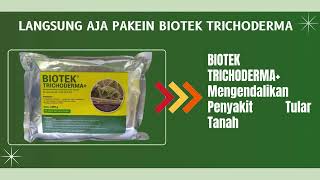 Jual pupuk busuk akar cabai Medan Harga pupuk busuk akar alpukat Agen pupuk busuk akar durian [upl. by Lav]