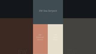 Sherwin Williams Sea Serpent a moody blue paint color that’s not navy paintcolor [upl. by Till]