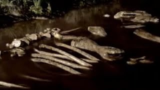 Columbian Mammoth Death by Tar  Ice Age Death Trap  BBC Studios [upl. by Enautna]