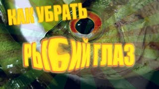 Как убрать fisheye  эффект рыбий глаз в After Effects и Sony Vegas [upl. by Eirehs]