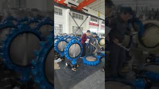 pn16 lugged type butterfly valve [upl. by Daiz]