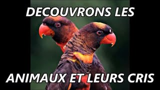 Animaux et leurs cris  Découvrir deviner et apprendre noms amp bruit danimaux étonnant et rigolo [upl. by Becky30]