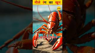 Blue blood 😧  ACT 2 FACTS  facts lobster trendingshorts [upl. by Annetta]