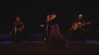 Lola Jaramillo Bailaora Solea por Bulerias flamenco [upl. by Hallutama]