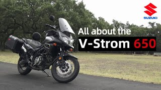 Everything You Need to Know Suzuki V Strom 650 [upl. by Gilburt764]