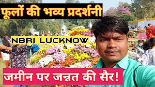 गुलदाउदी एवं कोलियस प्रदर्शनी NBRI लखनऊ lucknow flower exhibition 2022gardening [upl. by Eniawed]