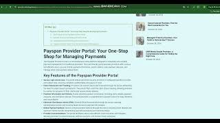 Payspan Provider Portal Your OneStop Shop for Managing Payments [upl. by Otiv970]