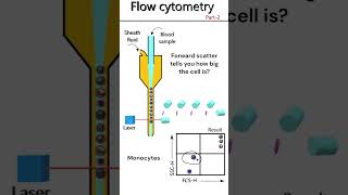 Flow Cytometry Principle Part 2 animation [upl. by Quiteri687]