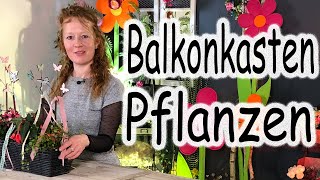 Blumenkasten bepflanzen Balkondeko  Gartendeko  Blumen pflanzen  Floristik24 [upl. by Anehc]