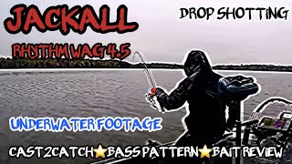 Fall time Drop Shot Bass fishing w Jackall rhythm wag 45” underwater footage [upl. by Wolfram360]