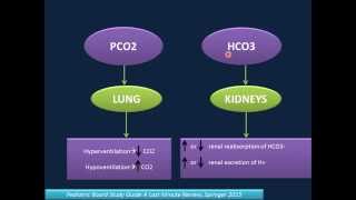 Arterial Blood Gas Analysis ABG [upl. by Jelks]