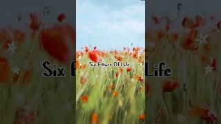 Six Ethics Of Life motivation shorts lifefacts [upl. by Reinhold551]