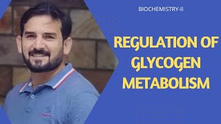 Regulation of Glycogen  Glycogen Regulation in liver amp Muscle Hormonal Regulation of Glycogen [upl. by Ligetti983]