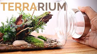 Planted Driftwood Terrarium How to build a closed terrarium using a planted piece of driftwood [upl. by Marl448]