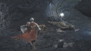 Braille Divine Tome and Mornes Ring Location  Dark Souls 3 [upl. by Latimore]