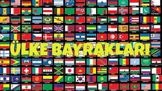 Dünya Bayrakları  1  Ülke Bayrakları  World Flags HD [upl. by Ttegirb428]