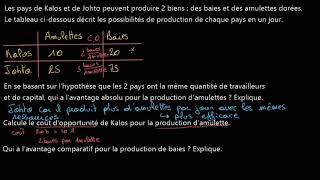 Exemple concret de lavantage comparatif [upl. by Nylaj470]