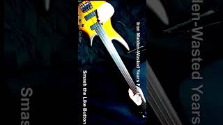 Wasted Years Fretless Bass Cover – Iron Maiden ironmaiden basicallybassguitar [upl. by Aniar112]