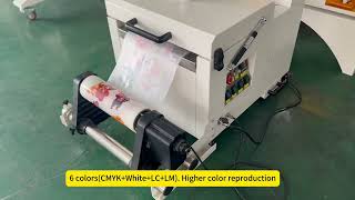 Cowin 30cm size dtf printer with powder shaker [upl. by Happ974]