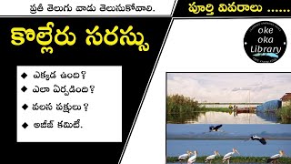 Kolleru Lake History in Telugu  Kolleru Lake Documentary  Tourism [upl. by Terri]