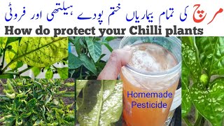 How do you protect Chilli plants  Pest on Chilli plants  Chilli pest control Homemade Pesticide [upl. by Dukie]