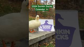 Our calendar is finally ready 🦆🗓️Ducks DunkinDucks Pets 2024Calendar PetCalendar Animals [upl. by Aborn]