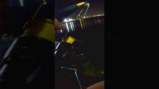 Alligator gar Galveston🐊Full video on the channel alligatorgar fishing galvestonfishing [upl. by Ibob]