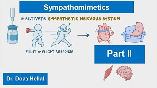 Sympathomimetics part 2 [upl. by Nymzaj]