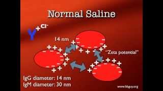 Pretransfusion Testing [upl. by Fuchs]