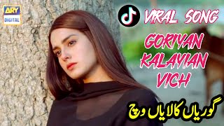 Goriyan Kalayian Vich  Ameer Niazi  Akhiyan Hin Talwaar  New TikTok Viral Song 2024 [upl. by Yanat]