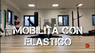 Esercizi mobilità con elastico [upl. by Anahir]