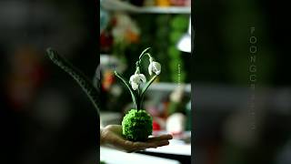 snowdrops moss ball poongcrafts diy kokedama [upl. by Bellew]