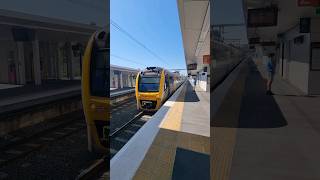 SMU 286 at Rocklea trains railway brisbane [upl. by Leiso899]