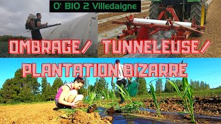 Essai tunneleuse semis melons blanchiment serre plantation bizarre semaine dynamique [upl. by Nodnarg863]