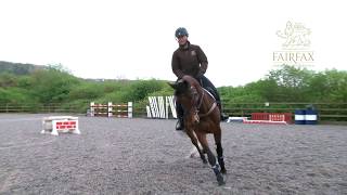 Emilie Chandler Masterclass in Minutes no 6  Fences on shallow loop [upl. by Ahsain]