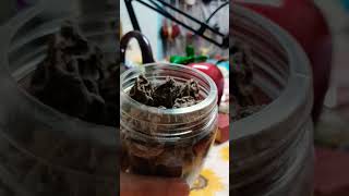 Kiamoy Champoy sour candy amazing satisfying shorts video [upl. by Ali]