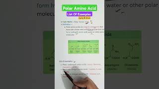 Polar Amino Acids  Examples aminoacids12 biochemistry gpat2025 pharmacyindia [upl. by Herschel]