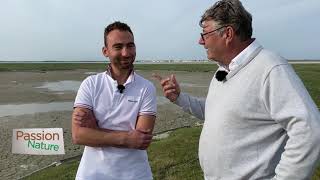 Passion Nature  Episode 4 saison 2 les oiseaux migrateurs en Somme [upl. by Guthry]