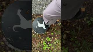 Convenient Dog Poop Container FootActivated Lid for Easy Disposal 🐕💩 [upl. by Chrystal]