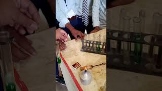 Test of nitrate ion  chemistry practical  class 12 chemistry practical  practical chemistry [upl. by Esdras]