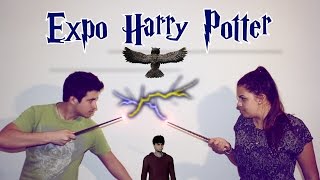 REALITY  UN JOUR A PARIS ET A LEXPO DHARRY POTTER [upl. by Yrot]