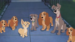 Welcome Home Finale l Lady And The Tramp 2 Scamp’s Adventure l Full HD l 1080p [upl. by Leaj]