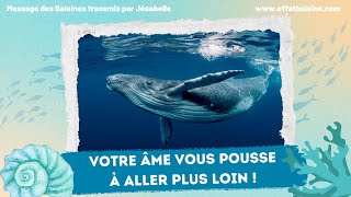 Votre Âme vous pousse à aller plus loin   Message dAmour des Baleines [upl. by Amelie]