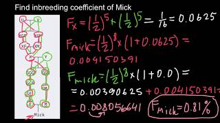 How to Find Inbreeding Coefficient practice problem [upl. by Eulaliah]