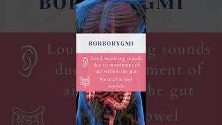 Lets learn bowel sounds together 💩🩺 bowelsounds medstudent medicine [upl. by Auqinat419]