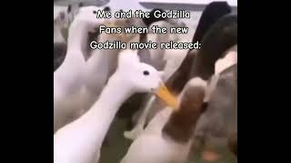 Random 1 Video of Godzilla meme [upl. by Otreblaug]