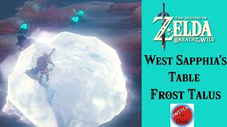 West Sapphias Table Frost Talus  Breath of the Wild [upl. by Adnelg336]