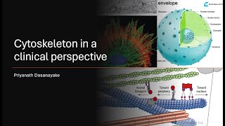 Cytoskeleton in a CLINICAL Perspective [upl. by Heigl]