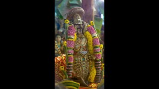 Srirangam Vaikunta ekadasi Paramapada vasal [upl. by Josefa760]