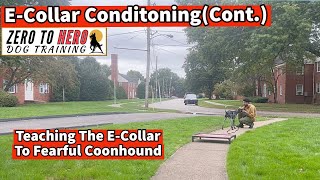 Coonhound ECollar Session cont [upl. by Enuj]